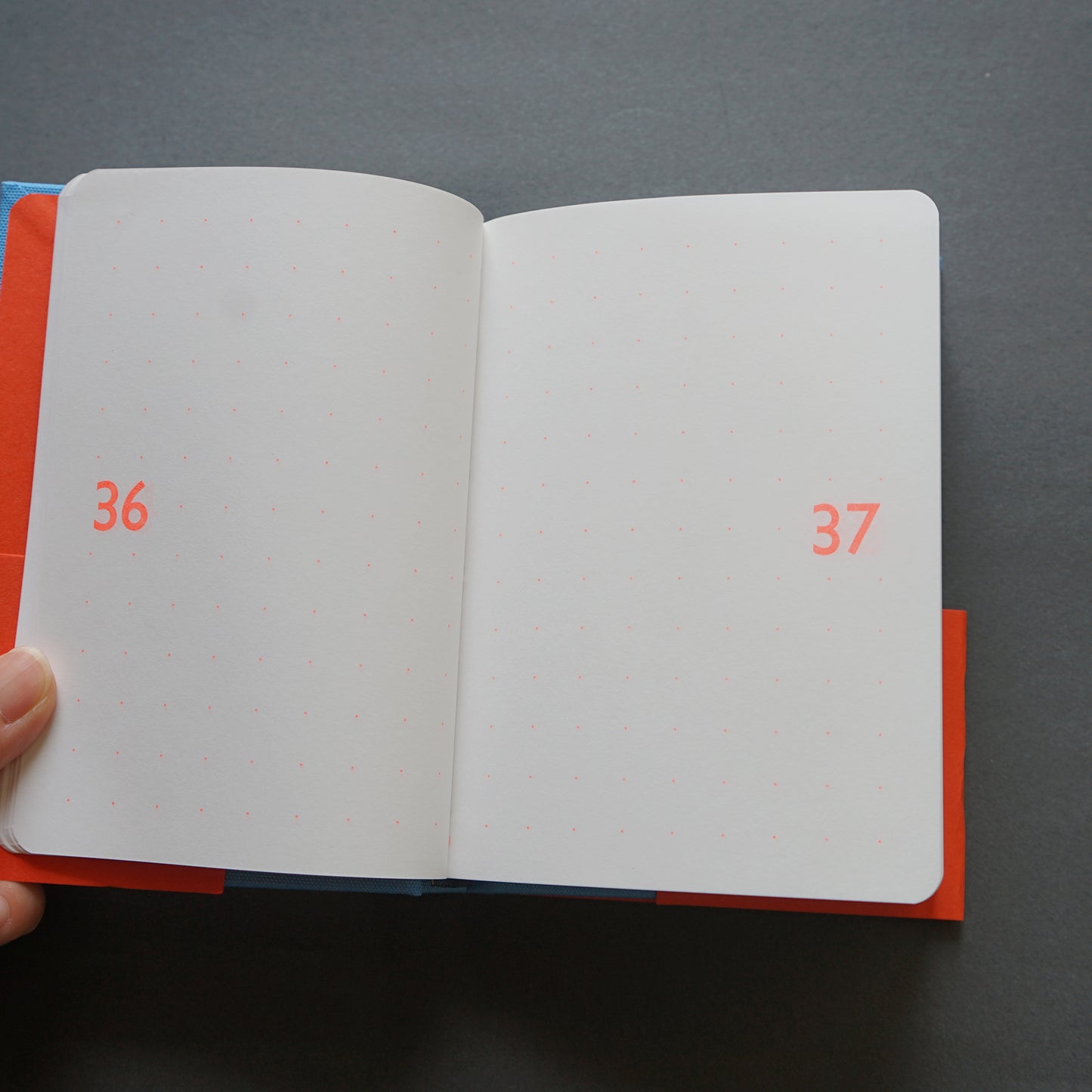 TYPEFACE NOTEBOOK / タイプフェイスノートブック〈ギルサンス〉