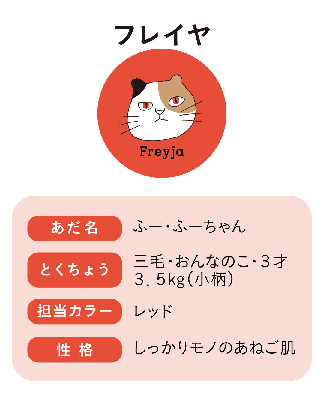 【GIFT SET】〈freyja〉ソックス2足／ハンカチ1足｜BOX入