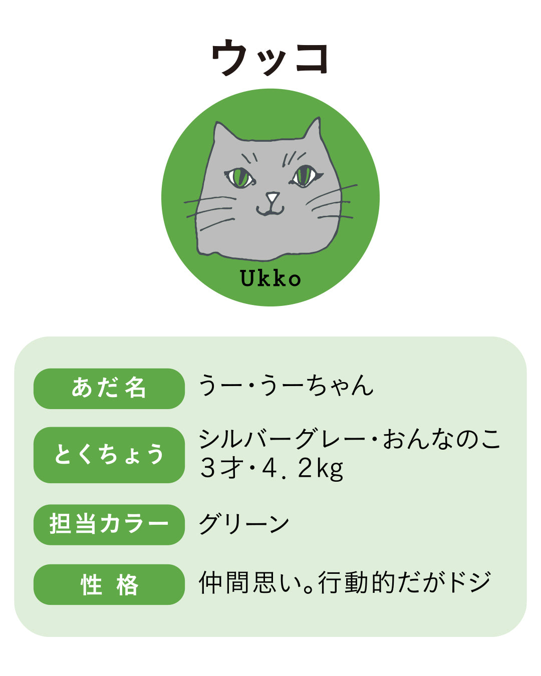 【GIFT SET】〈ukko〉ソックス2足／ハンカチ1足｜BOX入